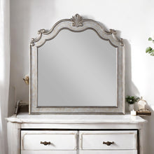 Load image into Gallery viewer, Acme Esteban Mirror