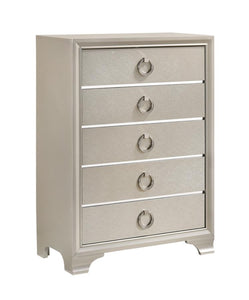 Coaster Salford Metallic Sterling Chest
