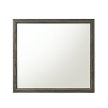 Load image into Gallery viewer, Acme Valdemar Mirror