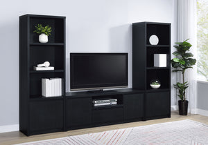 COASTER ENTERTAINMENT CENTER (TV STAND + 2 MT)