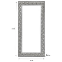 Load image into Gallery viewer, Coaster Rollins 32 x 66 Inch Rectangular Floor Mirror Black