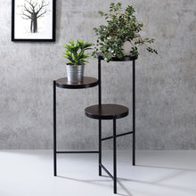Load image into Gallery viewer, Acme Namid Plant Stand