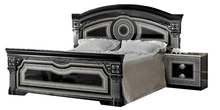 Load image into Gallery viewer, ESF Aida Black/Silver Full Size
