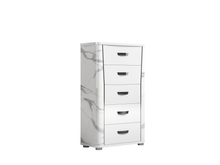 Load image into Gallery viewer, ESF Anna Status Chest