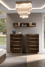 Load image into Gallery viewer, ESF Smart chest Walnut