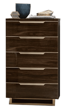 Load image into Gallery viewer, ESF Smart chest Walnut