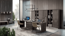 Load image into Gallery viewer, ESF Platinum Office Collection