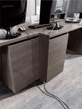 Load image into Gallery viewer, ESF Platinum Office Collection