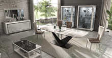 Load image into Gallery viewer, ESF Elite WHITE 2Door China