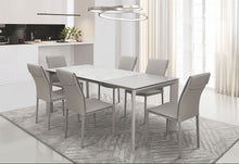 Load image into Gallery viewer, ESF Aurora Grey Dining set