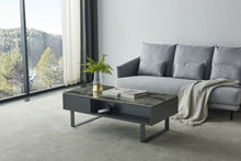 Load image into Gallery viewer, ESF 1388 Coffee Table w/ storage Grey