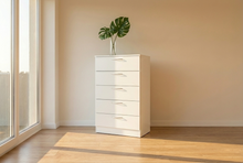 Load image into Gallery viewer, Edgar's Allegro Chest - White