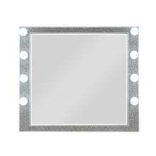 Load image into Gallery viewer, Acme Sliverfluff Mirror W/Light