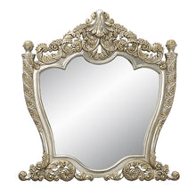 Load image into Gallery viewer, Acme Danae Mirror