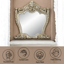 Load image into Gallery viewer, Acme Danae Mirror