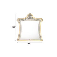 Load image into Gallery viewer, Acme Lucienne Mirror W/Led
