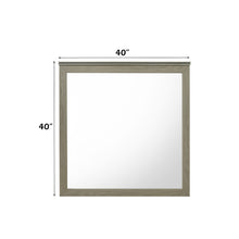 Load image into Gallery viewer, Acme Joanna Mirror