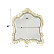 Load image into Gallery viewer, Acme Chantelle Mirror