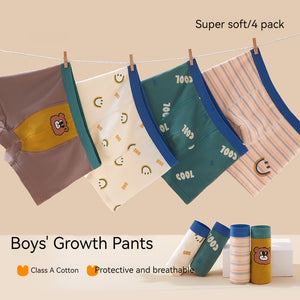 Boys' Cotton Printing Boxer Shorts