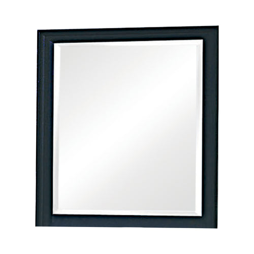 COASTER BEDROOM SANDY BEACH VERTICAL DRESSER MIRROR BLACK