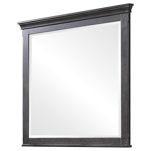 COASTER FRANCO WEATHERED SAGE MIRROR