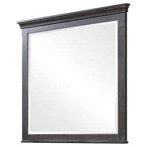 COASTER FRANCO WEATHERED SAGE MIRROR