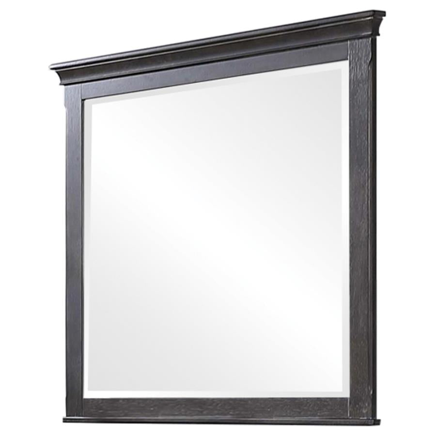 COASTER FRANCO WEATHERED SAGE MIRROR