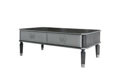 ACME HOUSE BEATRICE CHARCOAL & LIGHT GRAY FINISH COFFEE TABLE